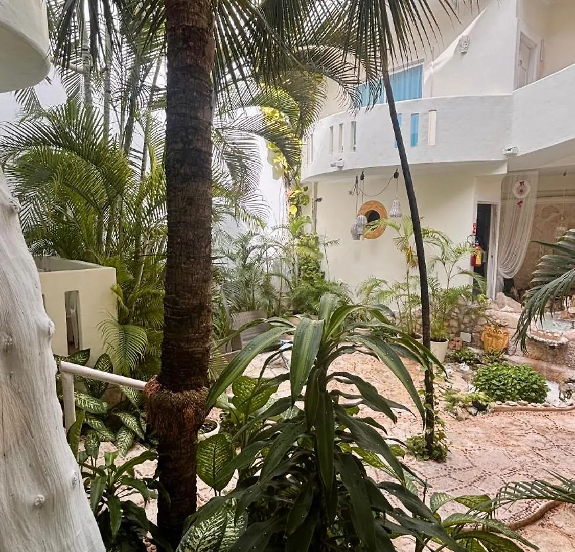 Coco Rio Hotel - Mamitas Beach Area Плая-дель-Кармен Мексика