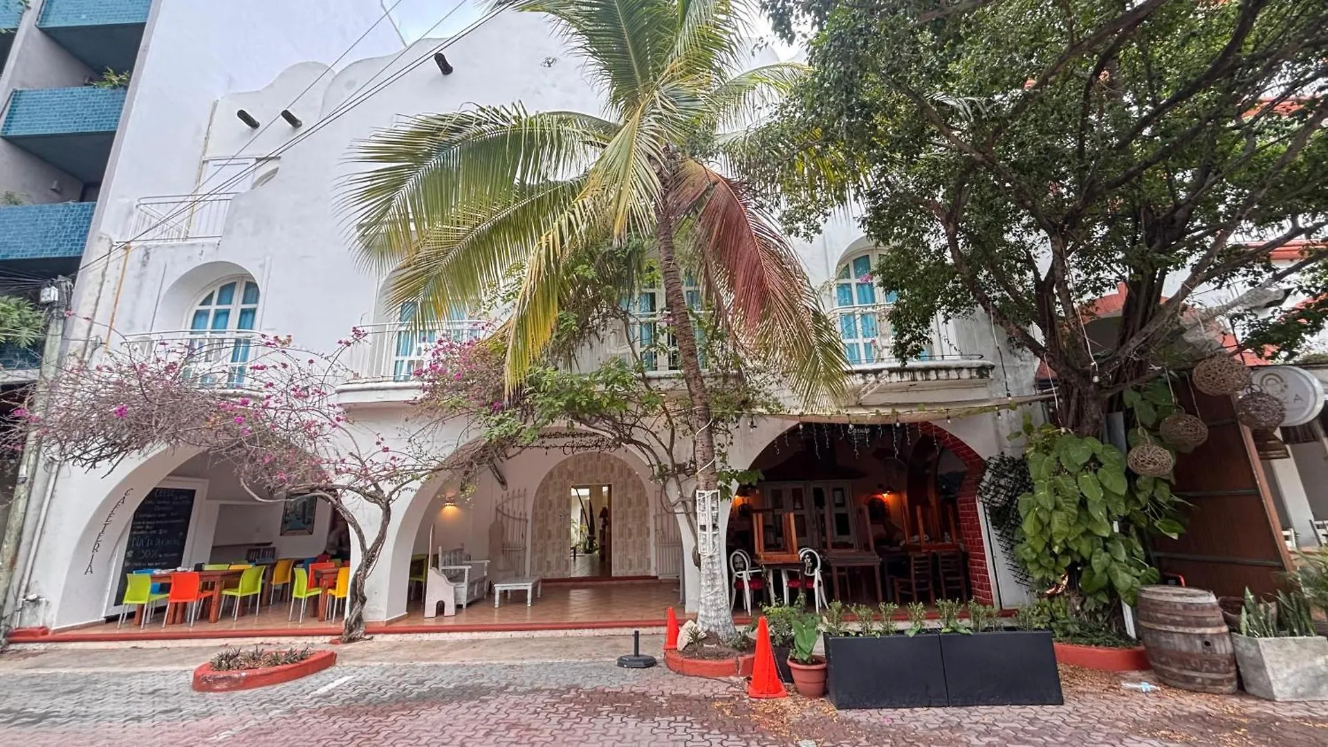 Coco Rio Hotel - Mamitas Beach Area 普拉亚卡门