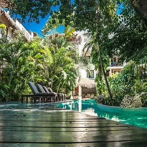 La Tortuga Y - Solo Adultos 4*, Playa del Carmen México